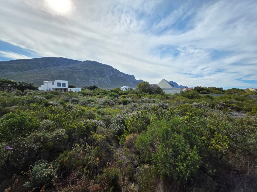 0 Bedroom Property for Sale in Bettys Bay Western Cape